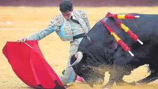 Fortes: ahora toca recuperar el tiempo perdido