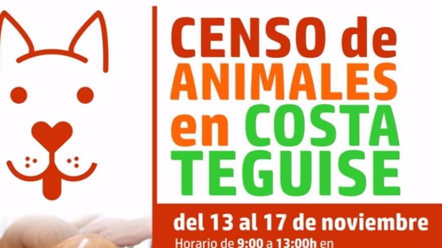 Teguise promueve el censo de animales en Costa Teguise