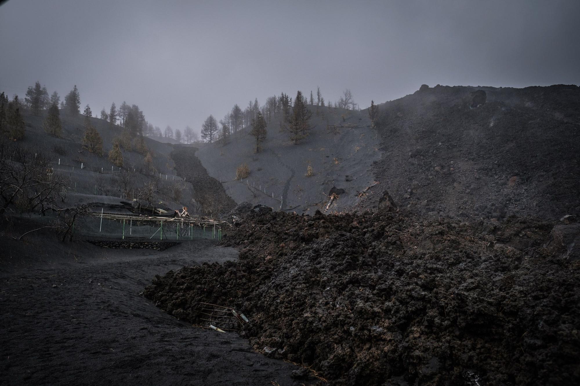 Los científicos dan cuatro días más para confirmar el final de la erupción en La Palma