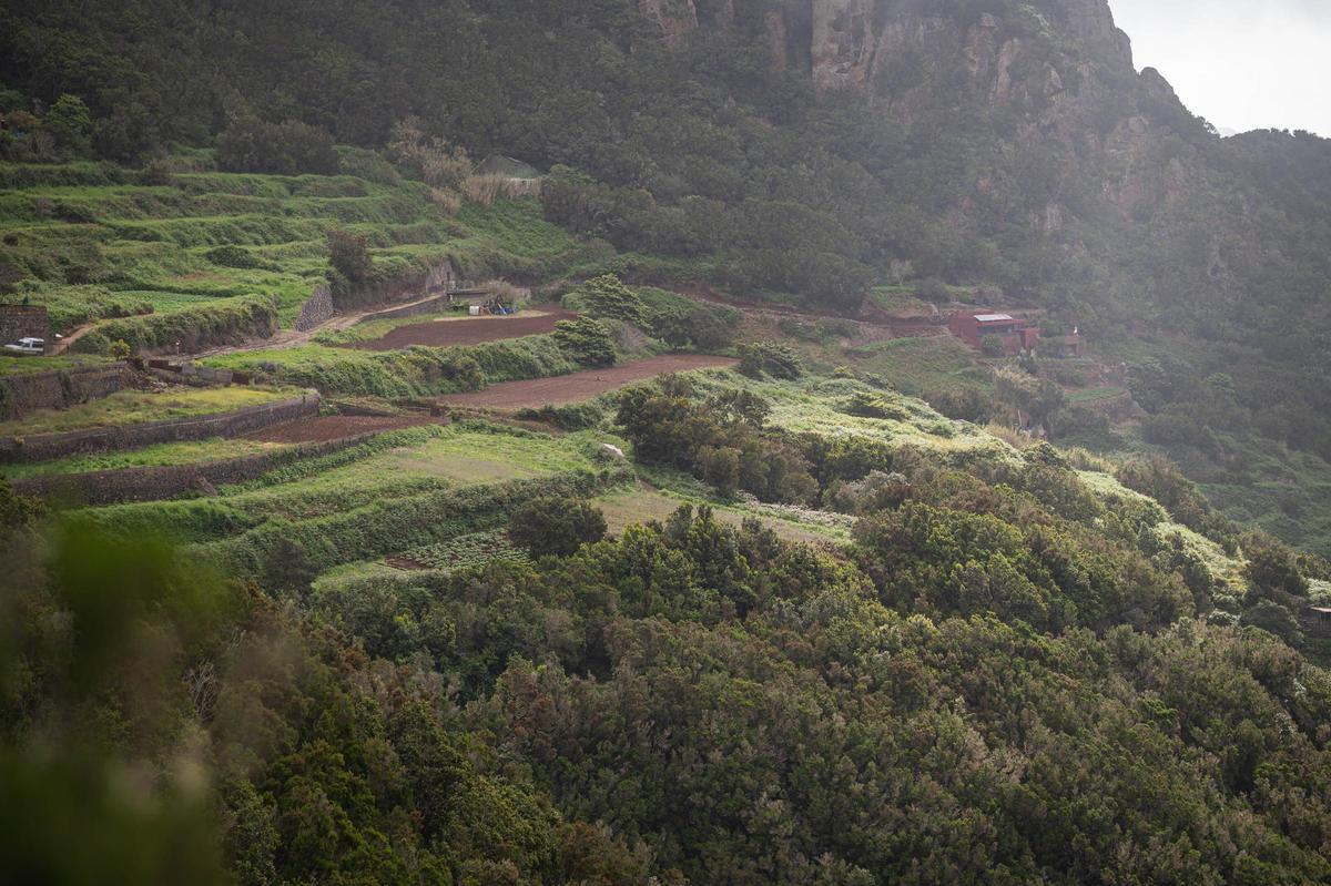 El Cresal, en Santa Cruz de Tenerife