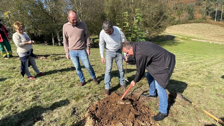 Salto tecnológico en la gestión los montes públicos asturianos: descubre cómo se combatirán los incendios y se controlará el ganado