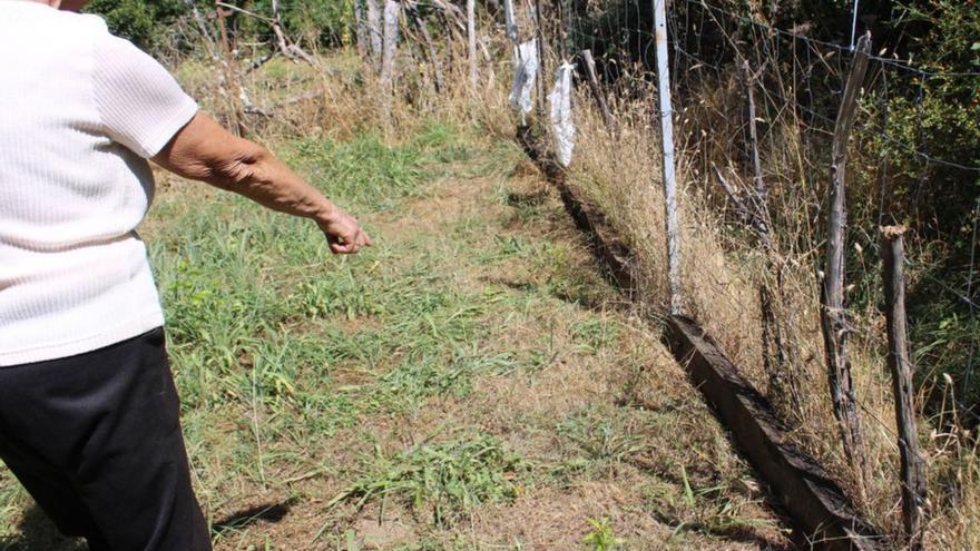 Una vecina señala el lugar por donde entran los animales.