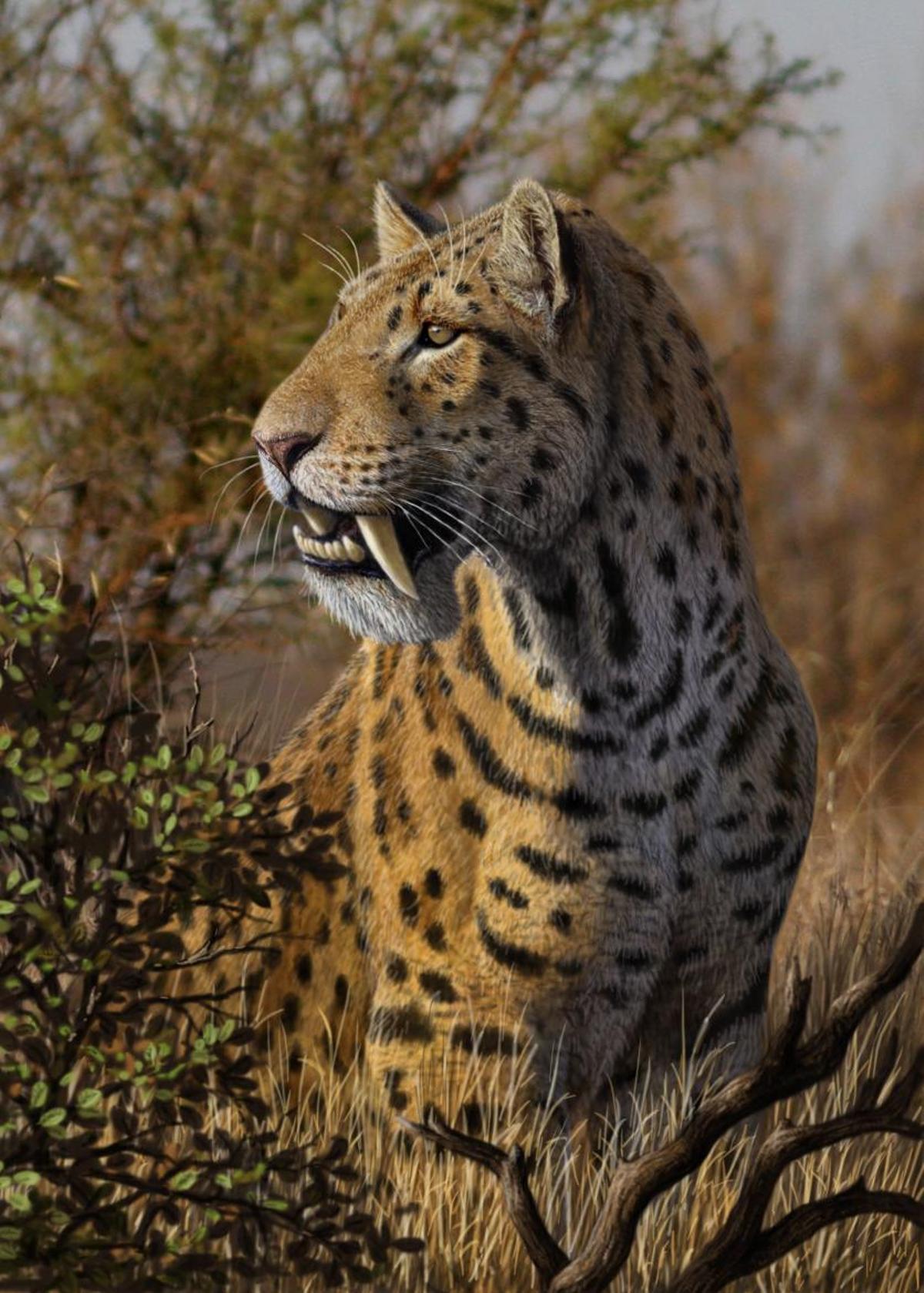 La exposición "dientes de sable" permanecerá expuesta en el MARPA hasta EL 25 DE OCTUBRE DE 2026