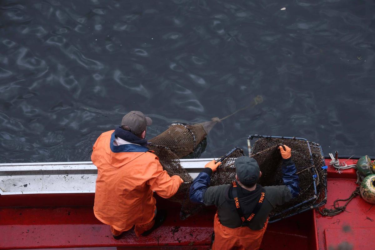 Así se pescan las primeras lampreas de la temporada.