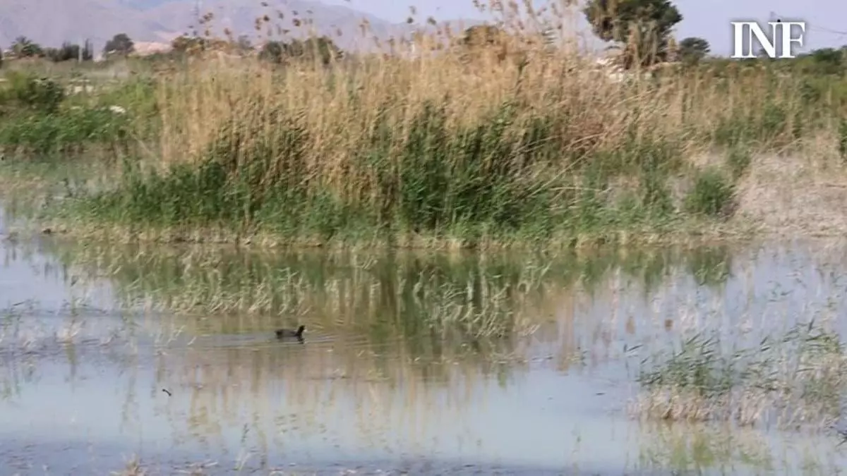 La UA te invita a reciclar para cuidar la naturaleza