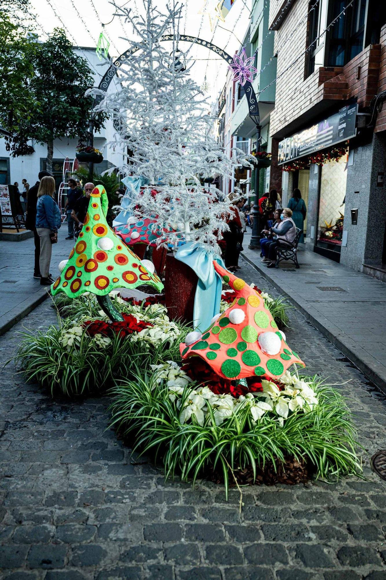 Semana de las Flores de Gáldar