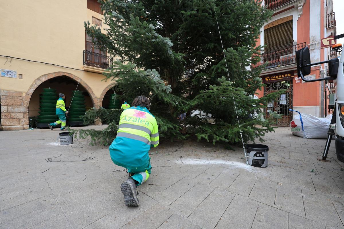 Fotogalería I Vila-real instala su árbol de Navidad más sostenible en la plaza de la Vila