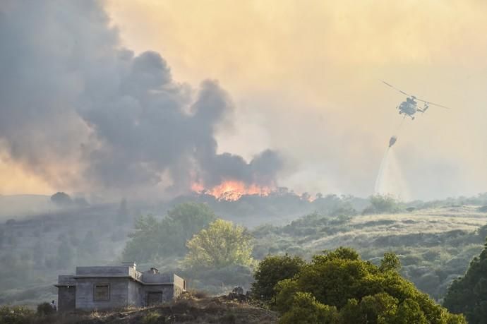 Incendio en la zona de cumbre de Gran Canaria