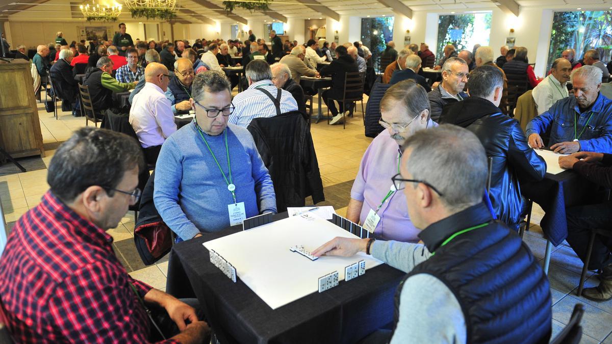 Segundo Torneo de Dominó Ciudad de Elche