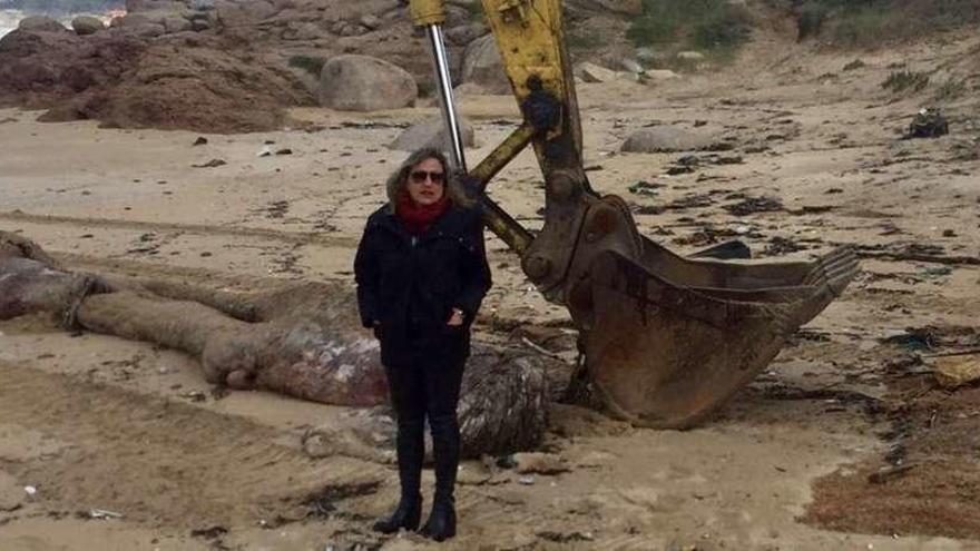 Ángeles Domínguez en el momento de la retirada de los restos del cachalote que apareció muerto sobre la playa de A Lanzada. // Muñiz