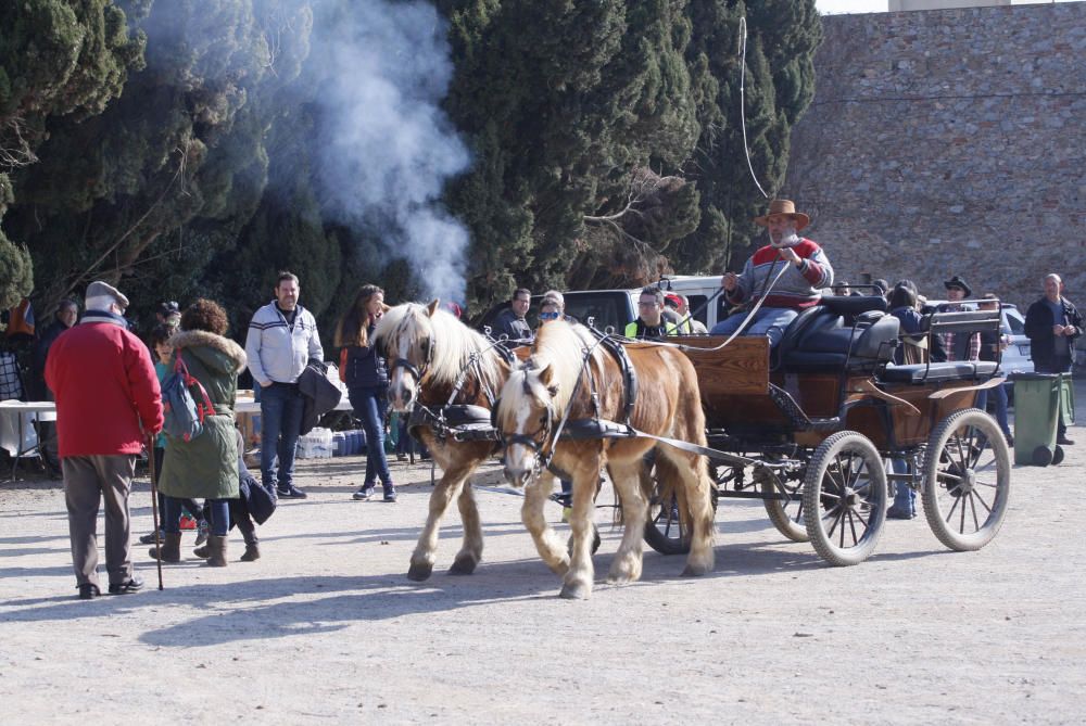 Festa de Sant Antoni Abat a Torroella de Montgrí