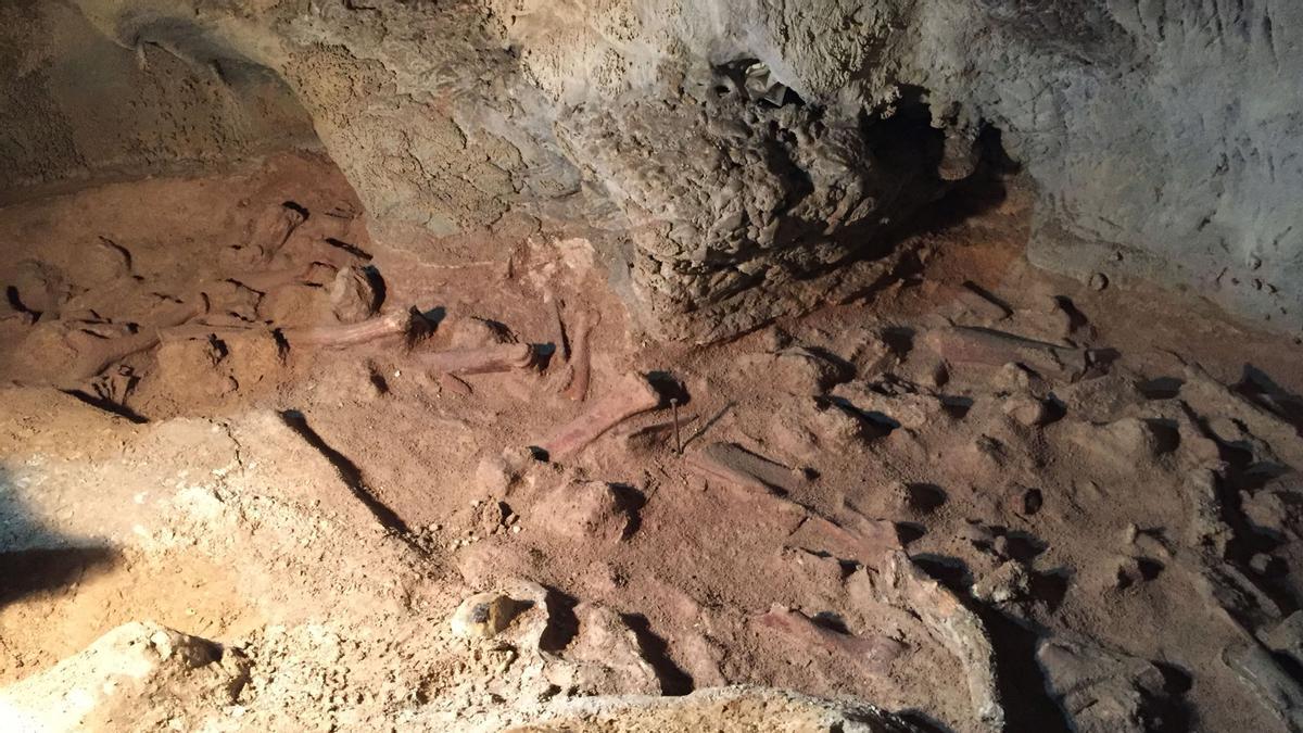 Restos neandertales en la cueva italiana de Guattari.