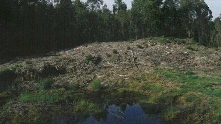 Los túmulos hallados por Terra de Trasancos presentan un deficiente estado de conservación. Parte de ellos están atravesados por pistas, carreteras o vallados. La mayor parte aparecieron en las parroquias de Santiago de Adragonte y San Xiao de Vigo.