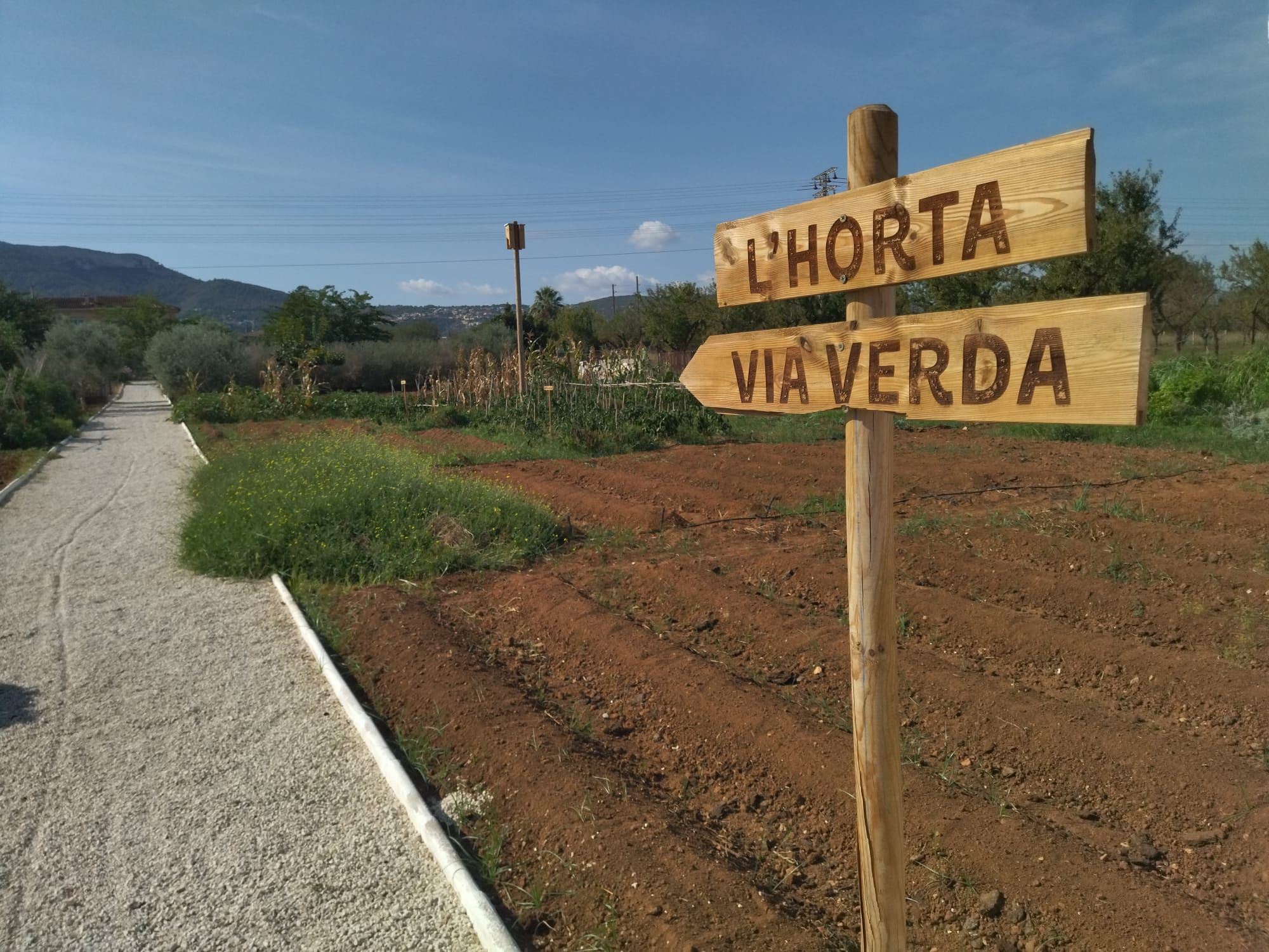 Huerta, gastronomía y exquisitas cocas: el D*na de Dénia siembra la semilla (imágenes)