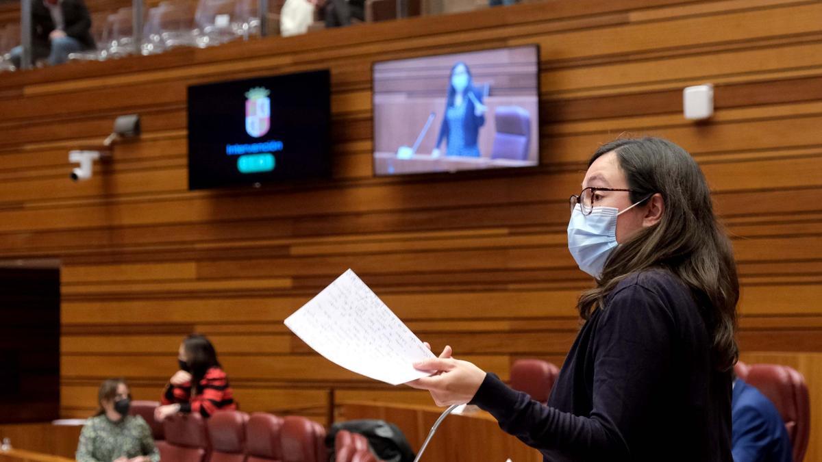 La procuradora Laura Domínguez durante su intervención en las Cortes.