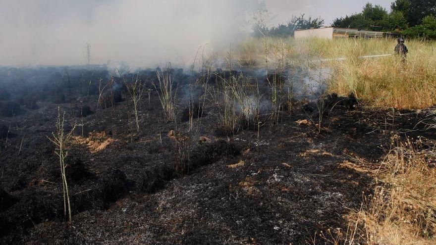 Los bomberos controlan dos incendios en Las Llamas y en Pinilla