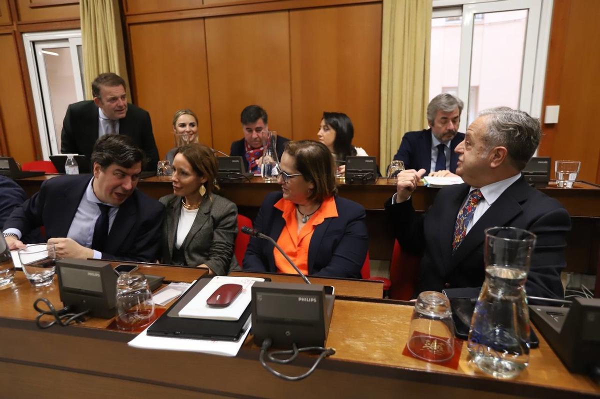 Bancada del grupo popular en el salón de plenos del Ayuntamiento de Córdoba.