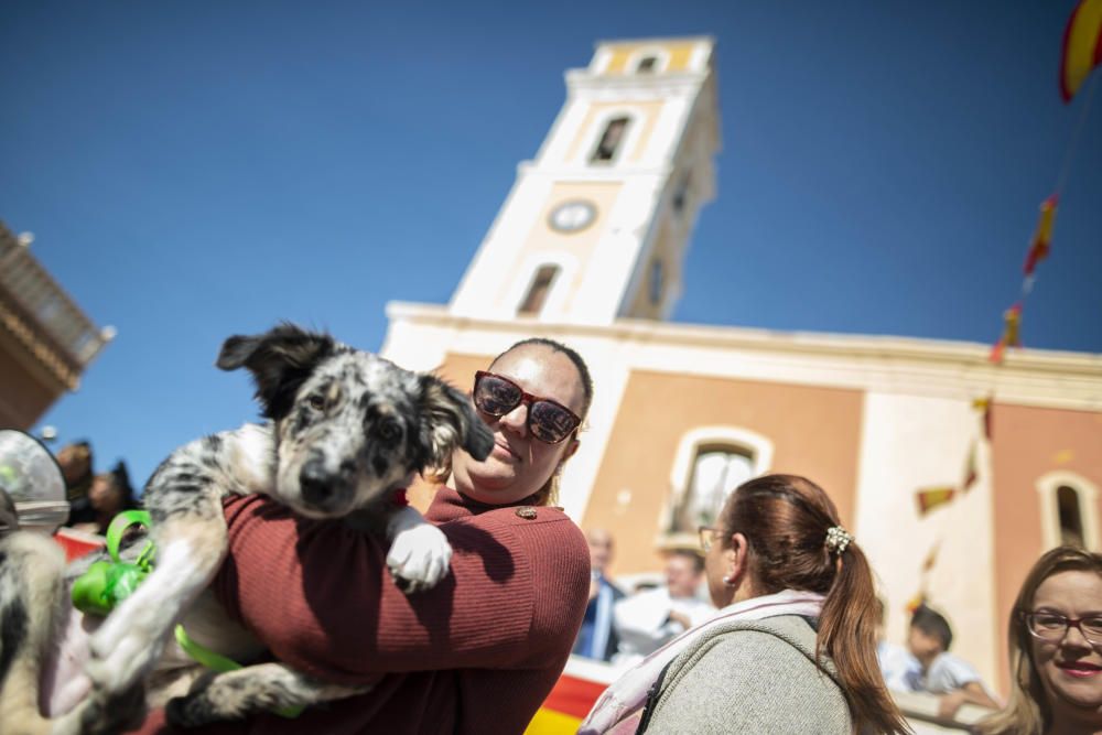 Cartagena celebra San Antón