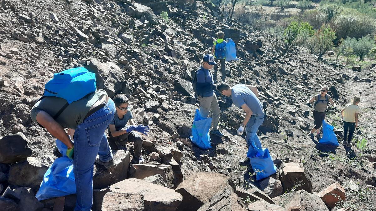 Una de las iniciativas solidarias en Betxí fue la limpieza de los montes.