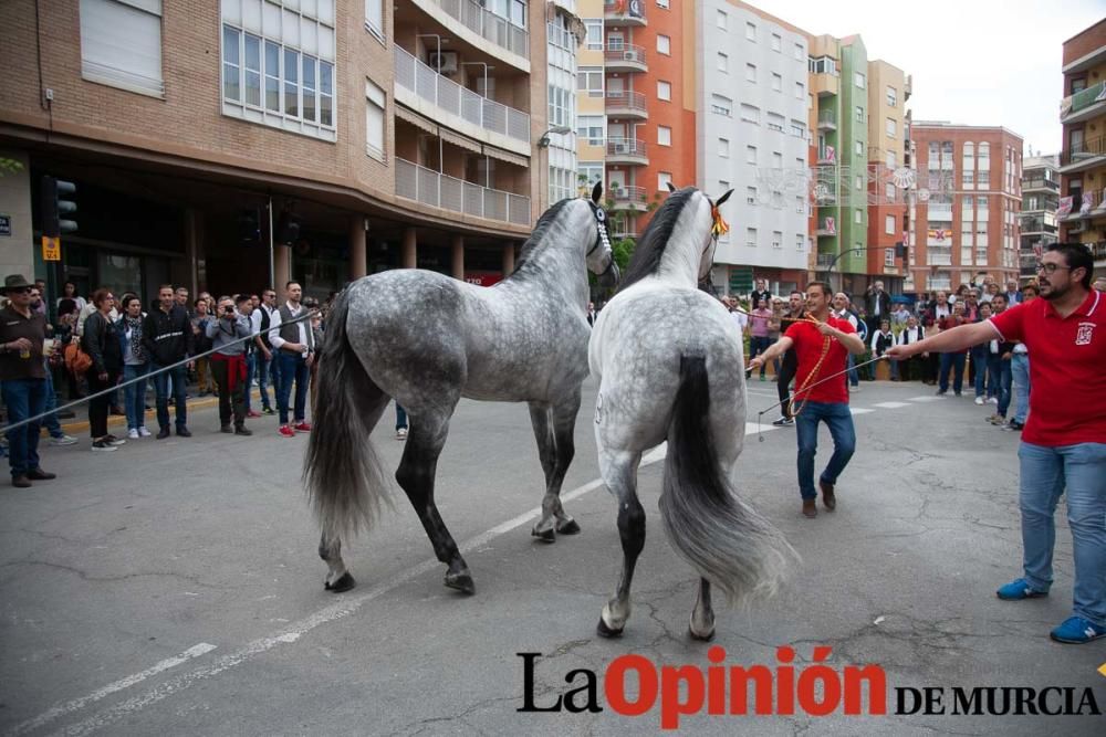 Caballos del Vino: Concurso morfológico (salida Pl