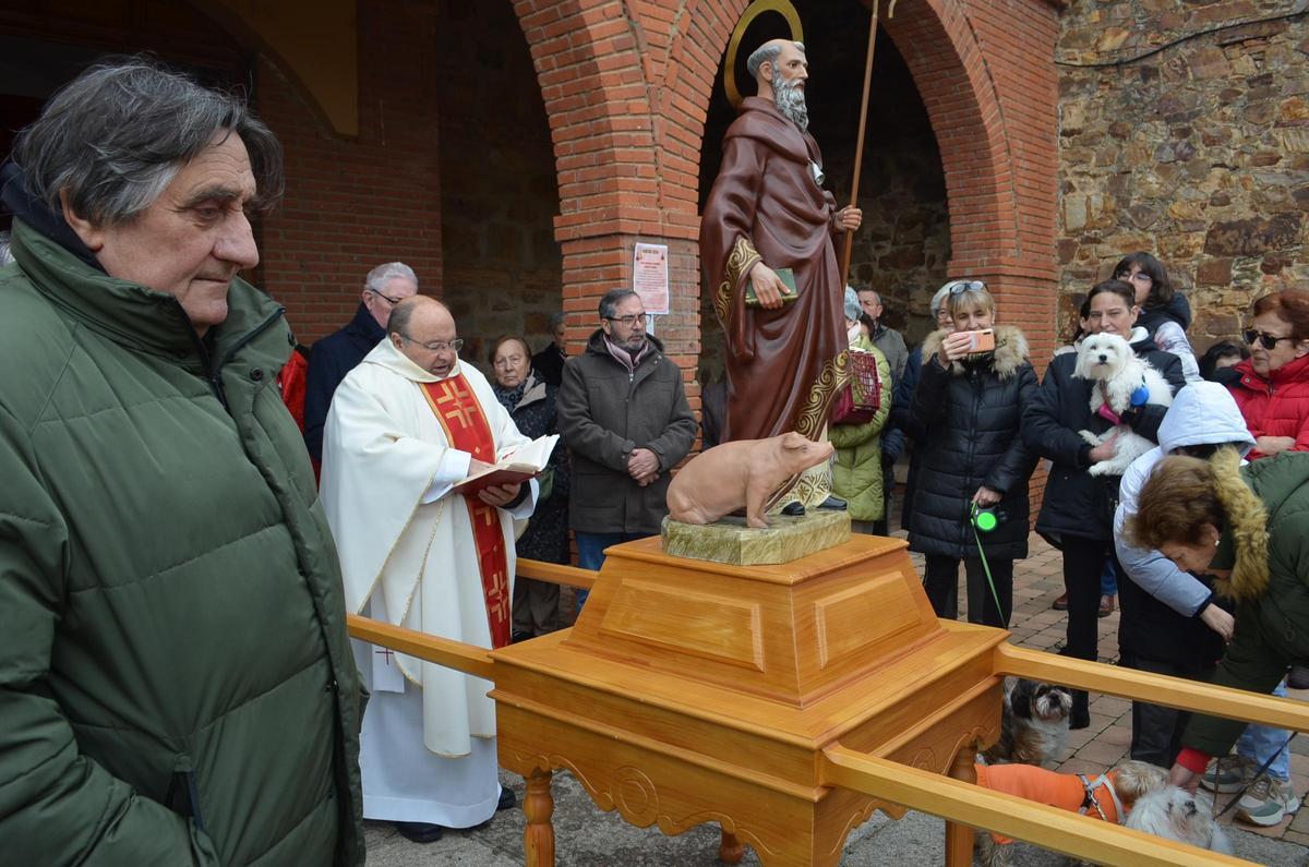 Fiesta de San Antón en Santa Cristina.