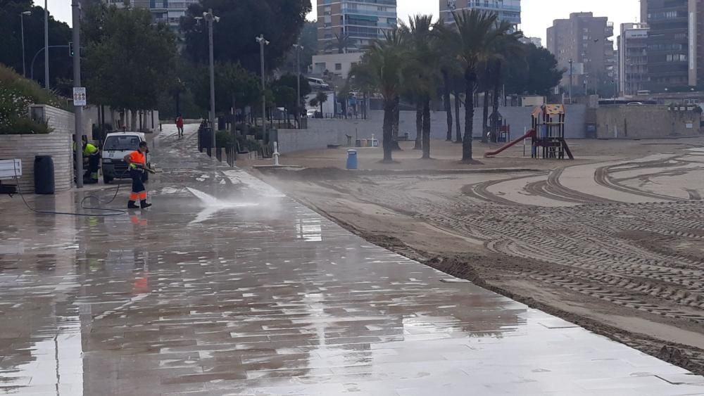 El Ayuntamiento trabaja desde primera hora de la mañana del sábado para adecentar la Albufereta, partida en dos.