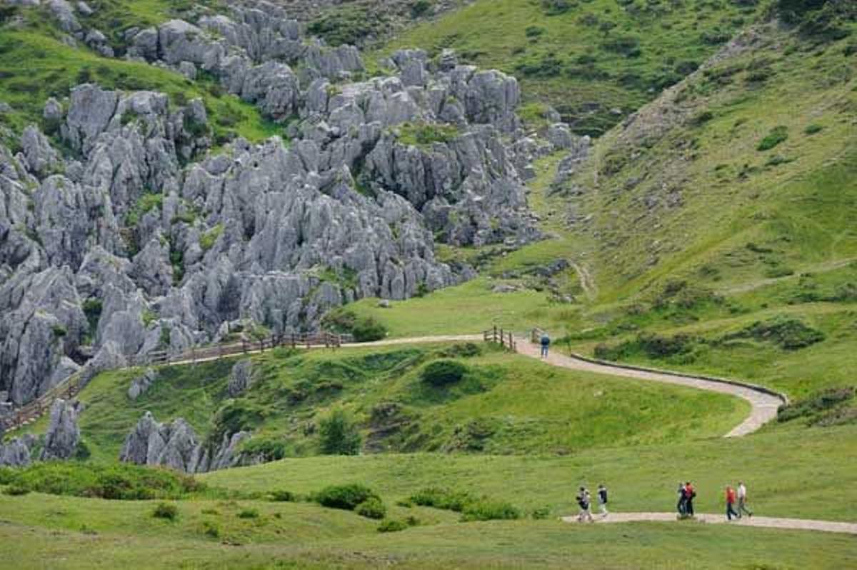 Picos de Europa