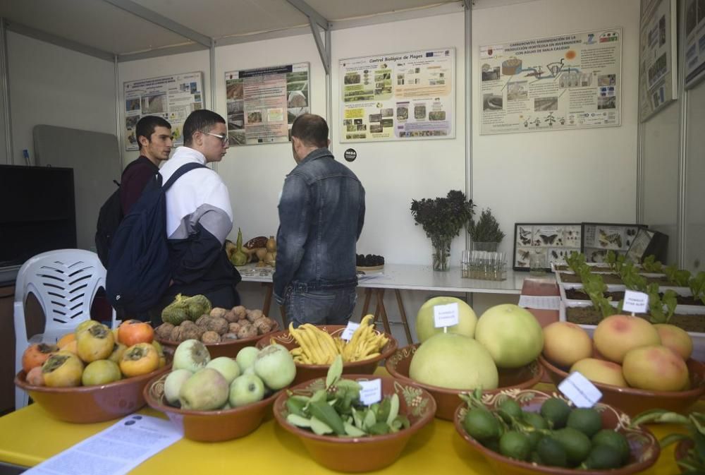 Arranca la Semana de la Ciencia en Murcia