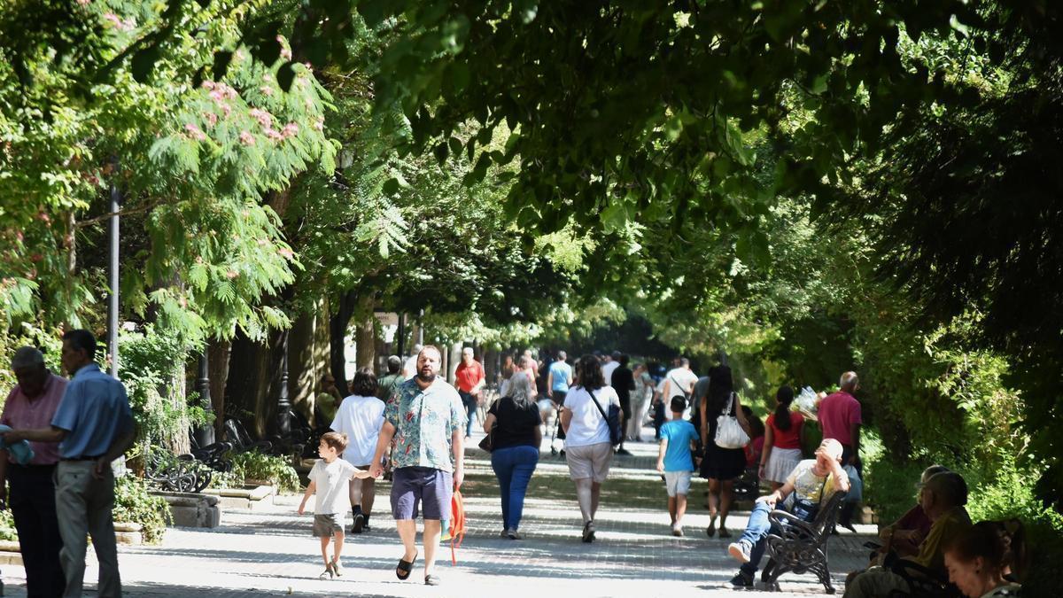 Galería | Los desperfectos del paseo de Cánovas de Cáceres