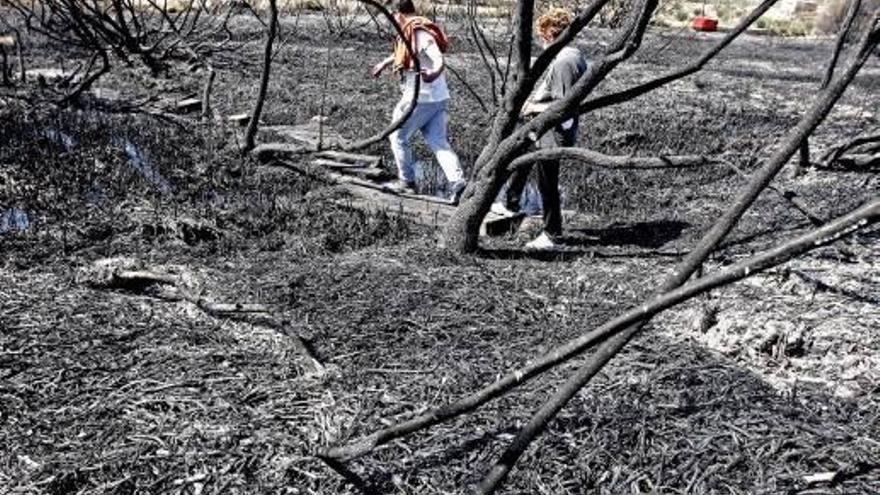 Investigan una quema de restos de poda junto al cauce devastado por el incendio