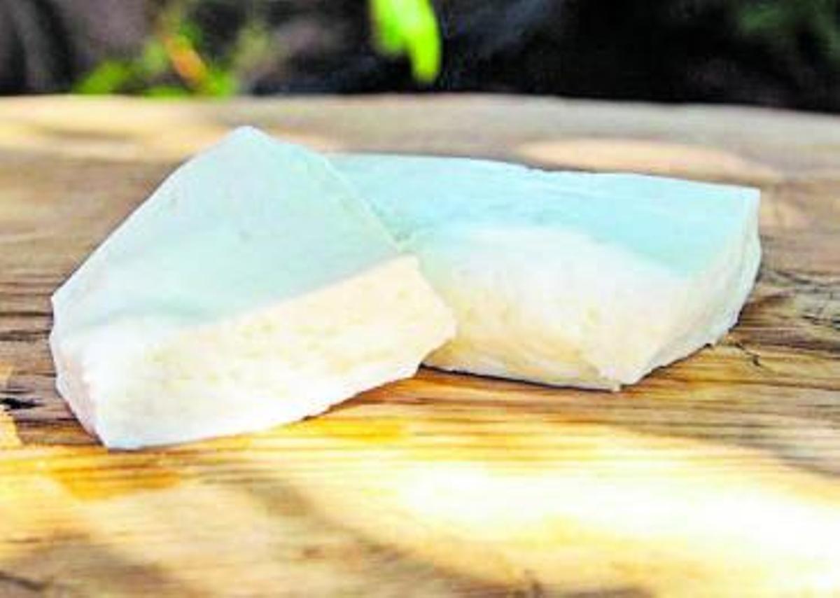Queso de camella con denominación de origen de Fuerteventura. | | E.D.