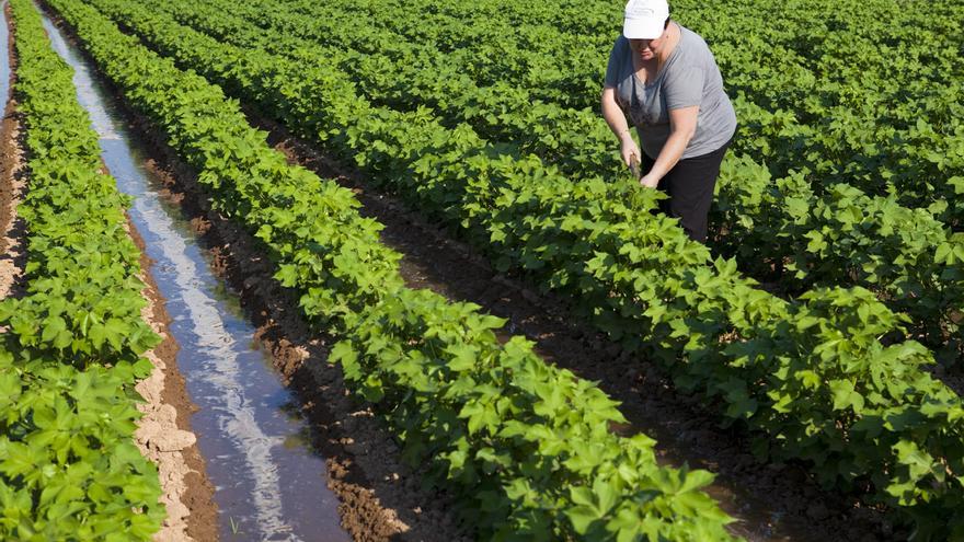 Nace una red que impulsa el emprendimiento femenino rural en Aragón