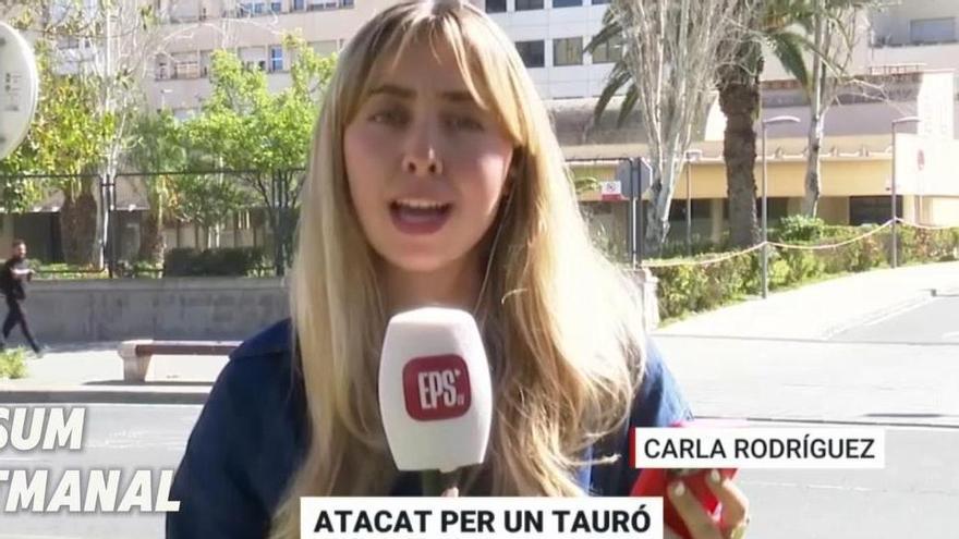 os mejores momentos de esta semana del programa de À punt, 'Està passant'