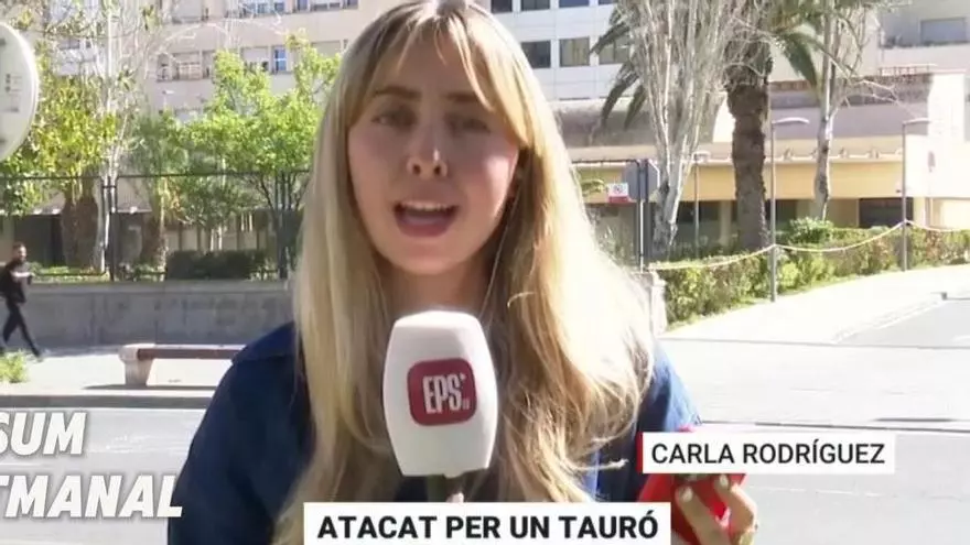 No te pierdas los mejores momentos de esta semana del programa de À punt, 'Està passant'