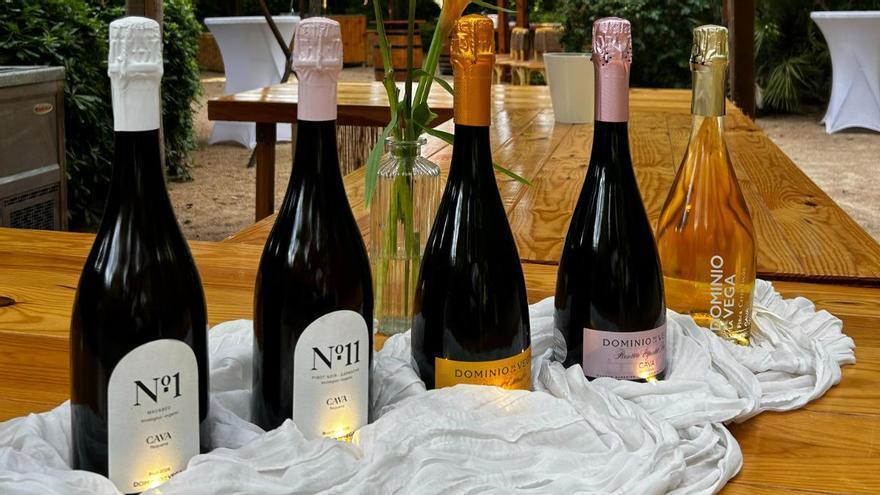 Dominio de la Vega llena de burbujas el cielo de Requena en su cuarta Fiesta del Cava