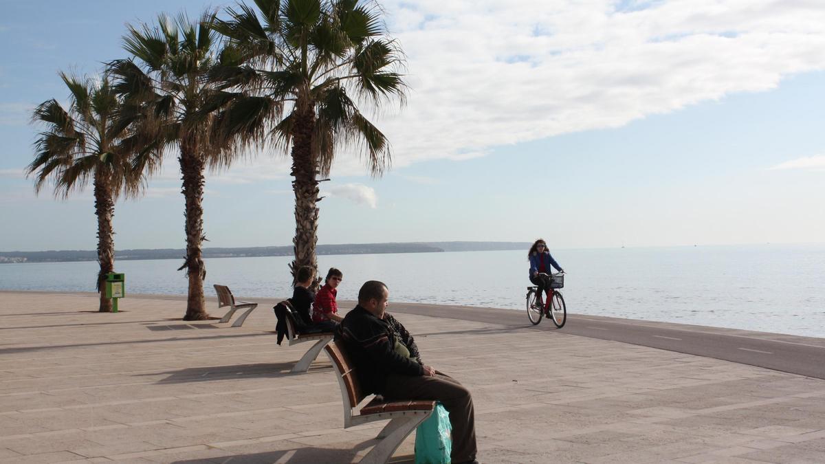El paseo de es Portitxol, en Palma.