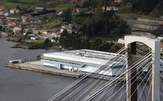 Fandicosta apura una reestructuración del grupo para reforzar su estado de tesorería