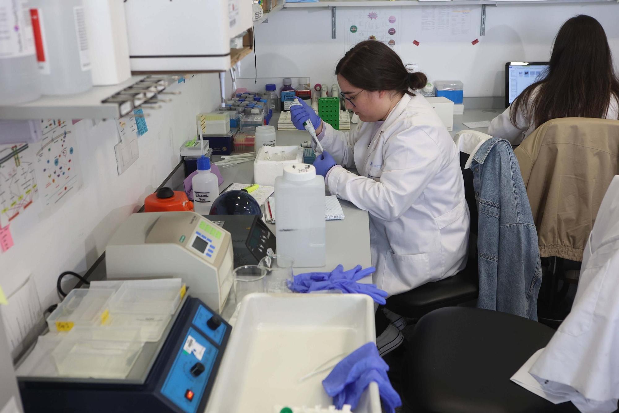 El conselleiro de Sanidade visita el Instituto de Investigación Biomédica de A Coruña