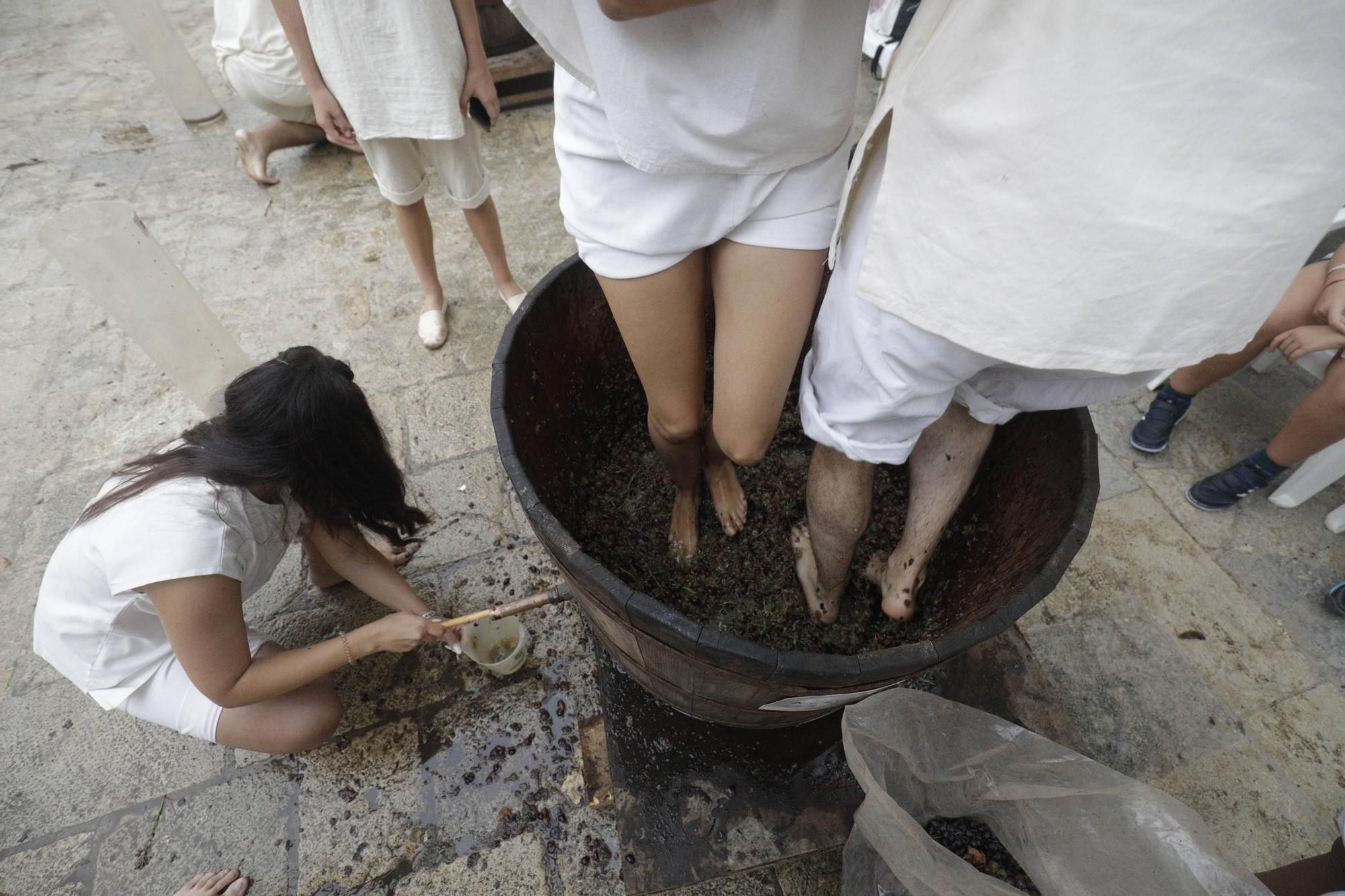 FOTOS | Festa des Vermar de Binissalem