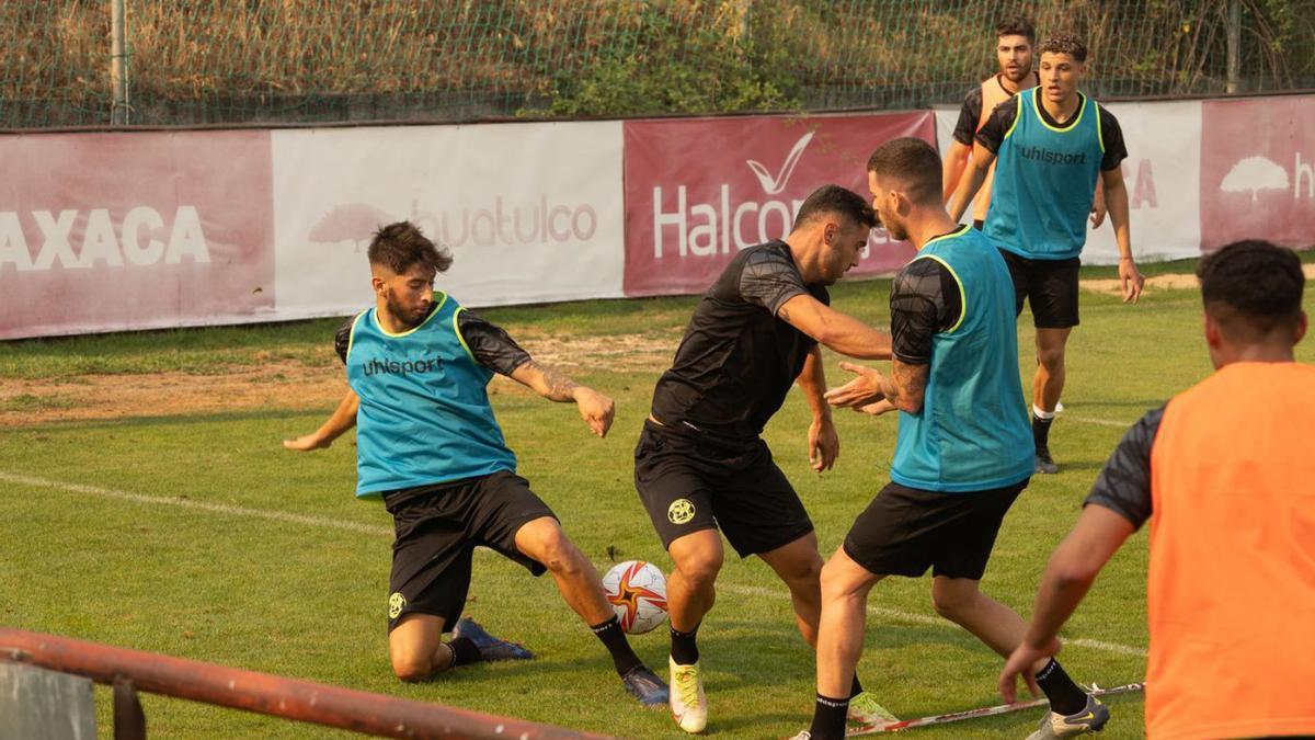 Los jugadores del Zamora CF se emplean a fondo durante un ejercicio de posesión de balón. | Jose Luis Fernández