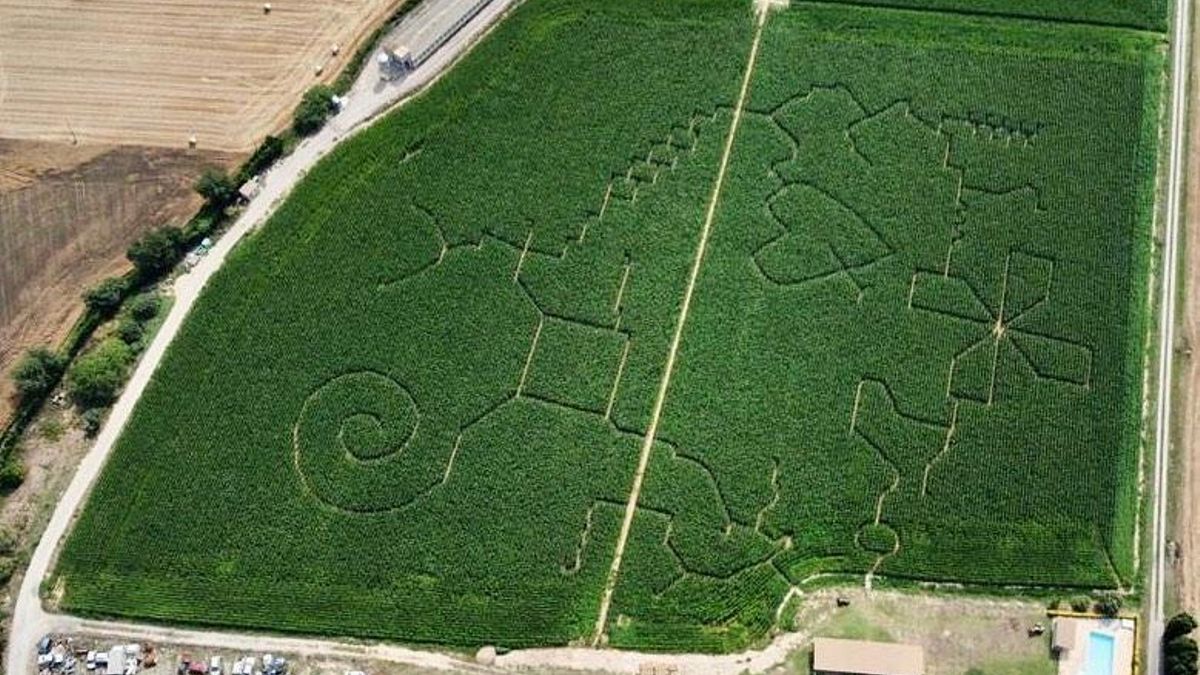 De flores, maíz y paja: laberintos naturales en Catalunya de los que no querrás escapar