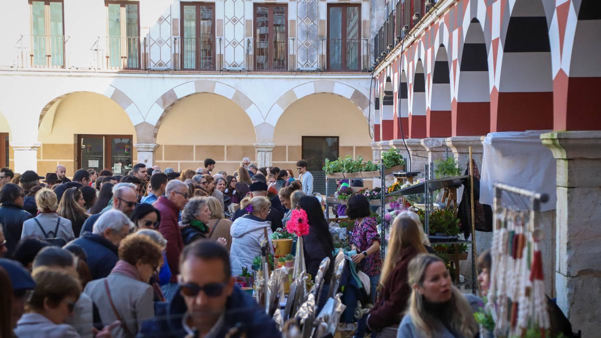 Mercado floral en la plaza Alta de Badajoz celebrado en el mes de febrero.