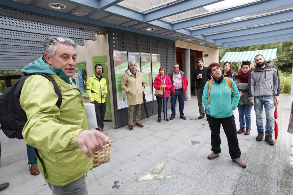 Recorrido micológico por el Jardín Botánico Atlántico