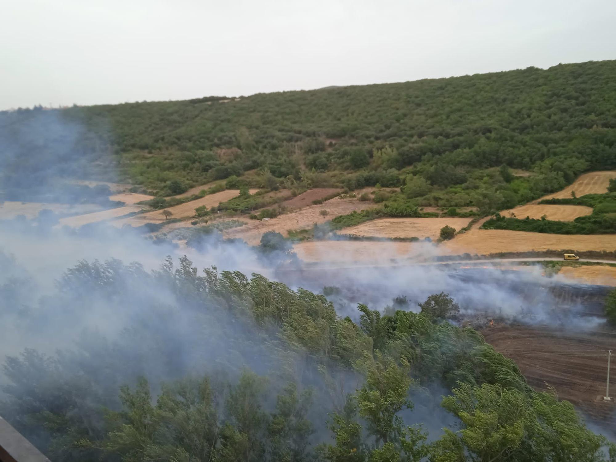 El incendio forestal de Añón de Moncayo, en imágenes