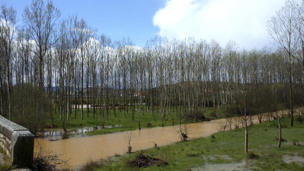 Carballeda, Aliste y Benavente, alerta por lluvias