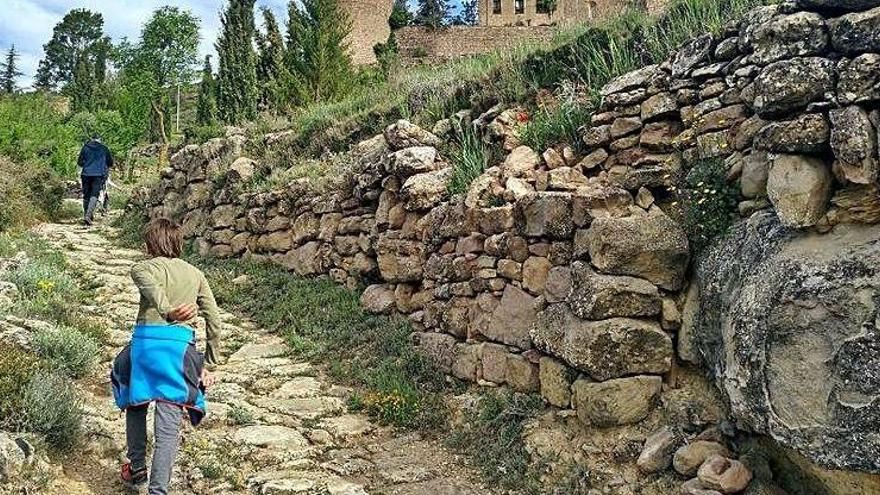 El Castellvell d&#039;Olius serà un dels punts de la visita