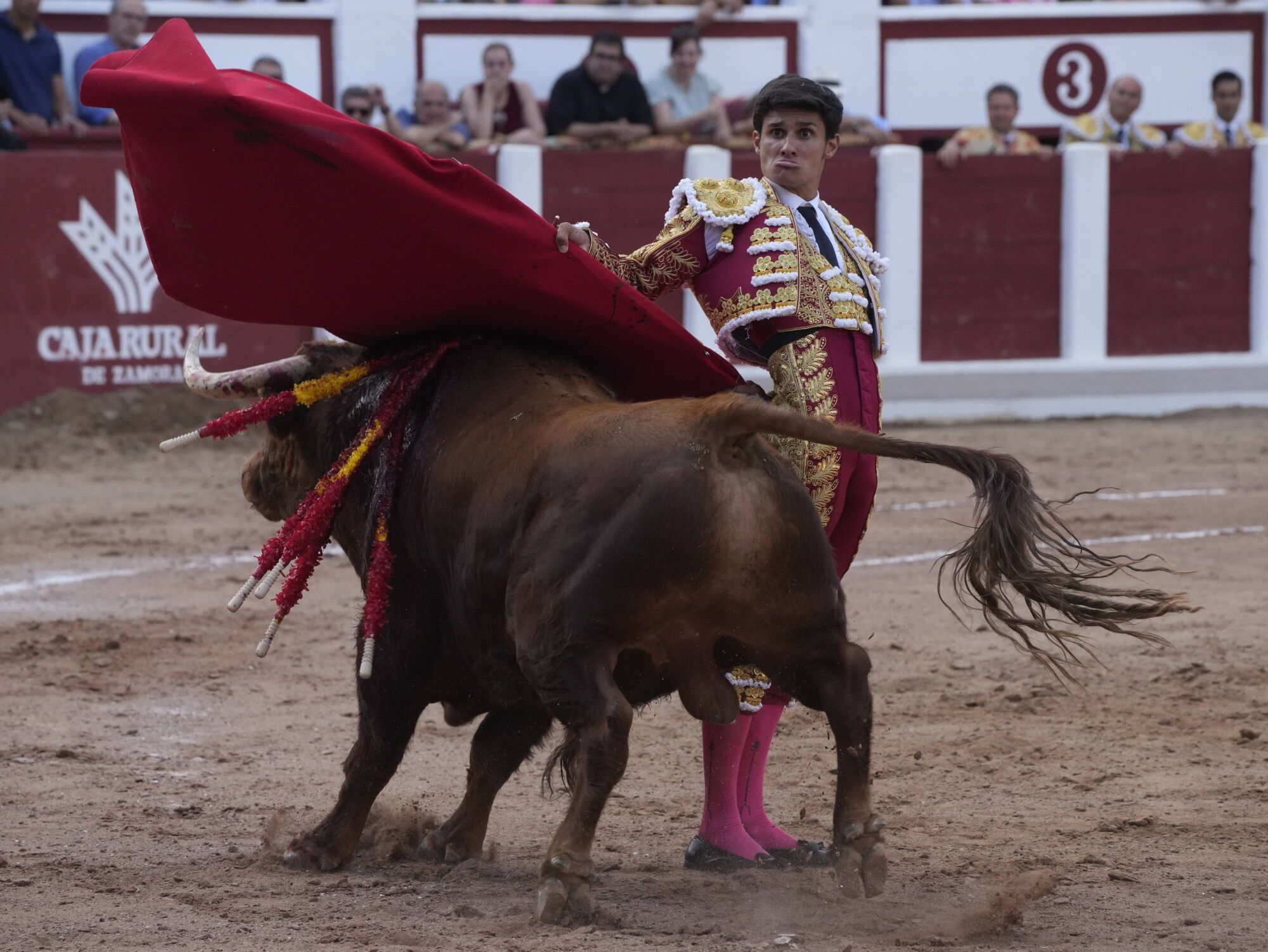 Las mejores imágenes de la feria taurina de San Pedro en Zamora.