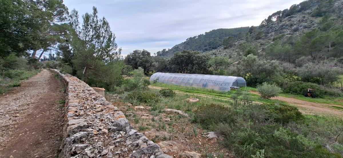 El invernadero sobre el que se han realizado los grafitis, vista desde otra perspectiva.