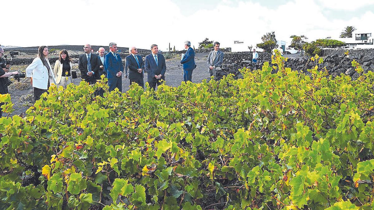 Visita del ministro a Bodegas El Grifo.