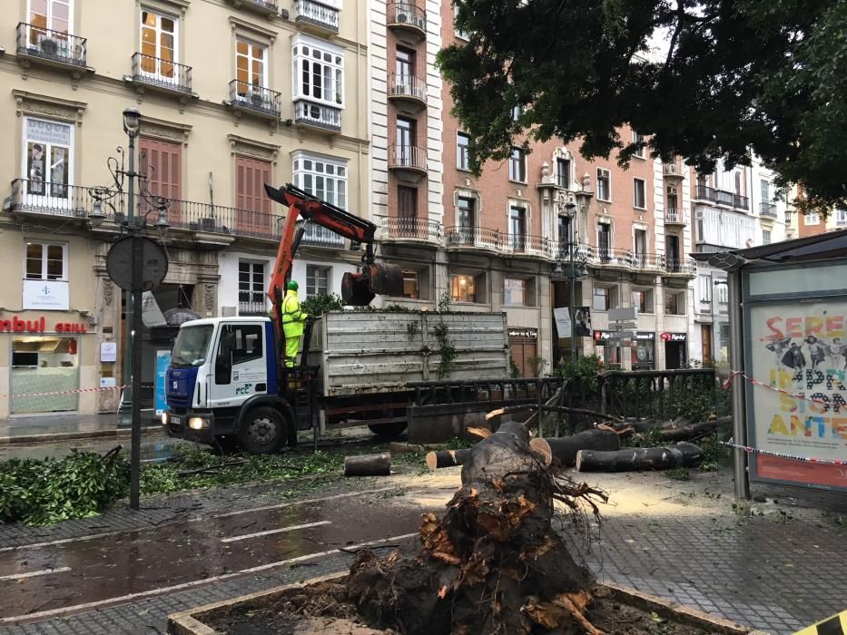 Las incidencias de la borrasca Ana en Málaga